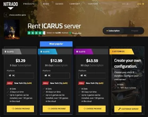 How much does icarus server cost?