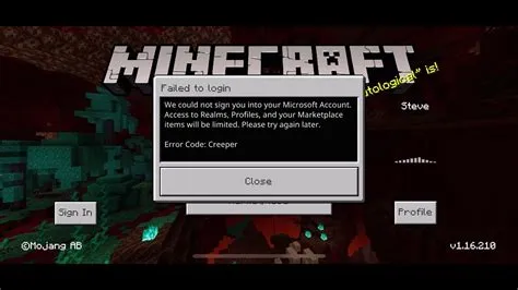 What is error 1 in minecraft?