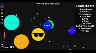 Why is agar.io so laggy?