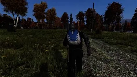 Does dayz have a plot?