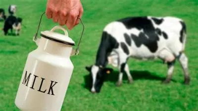 What animal milk can you drink?