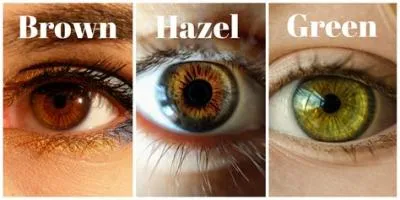 Who does hazel like?