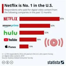 What is netflixs biggest money maker?