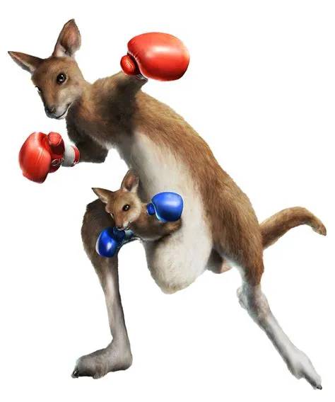 Why is kangaroo not in tekken 7?