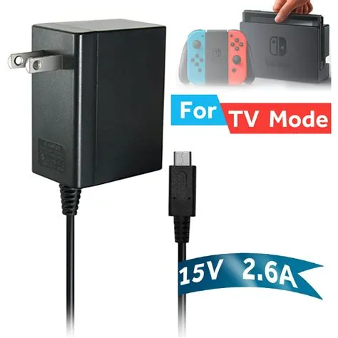 Is the ds and switch charger the same?