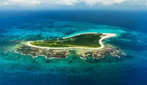 Why is bird island named?