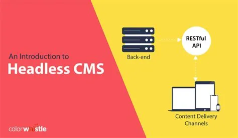 What is the future of cms?