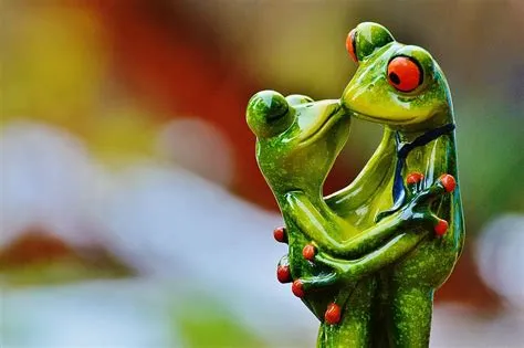 What is a frog kiss?