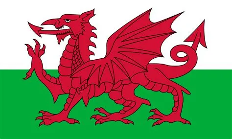 Which country has a dragon flag?