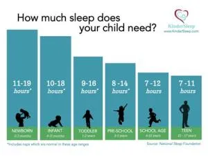 Who sleep 22 hours a day?