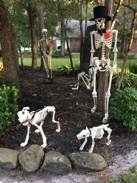 How far can skeletons fall?