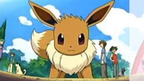 Who owns an eevee?