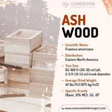 Why is ash wood called ash?