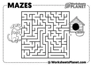 What does a maze teach you?