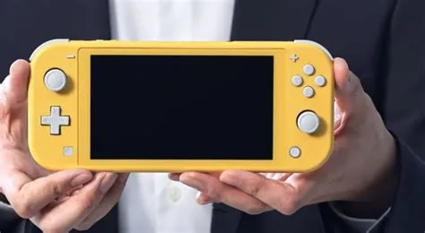 Where is l and r on nintendo switch lite?