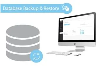 How do i open a backup database?