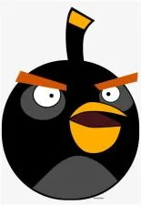 What is the black angry bird called?