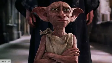 Why cant hermione fix dobby?