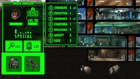 What is the maximum special in fallout?