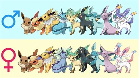 Can the starter eevee be female?