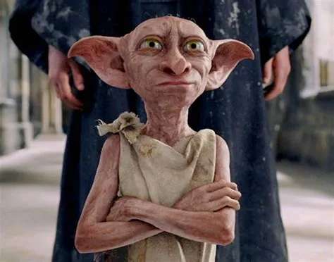 Is dobby a real name?