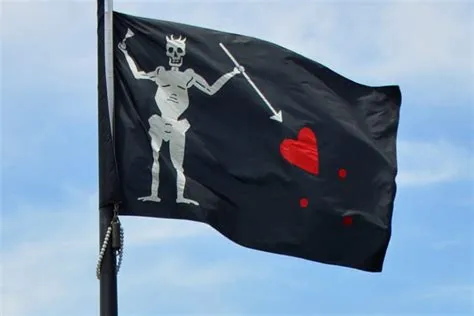 What flag did blackbeard fly?