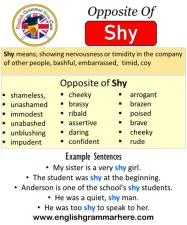 What is the opposite of shy person?