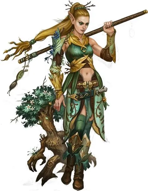 Is druid a race or a class?