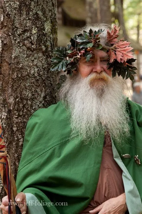 What trees did the druids worship?