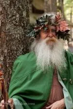 What trees did the druids worship?