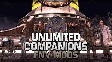 Can you have multiple companions in fallout new vegas?