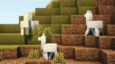 What does llama eat in minecraft?