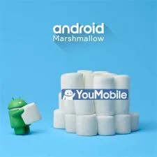 What is a marshmallow google?