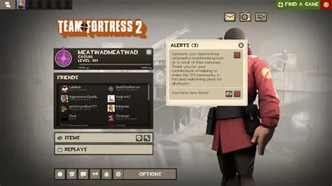 Can you get ip banned on tf2?