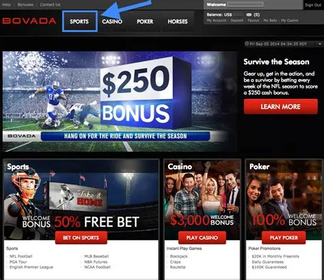 Is bovada better than online bet?