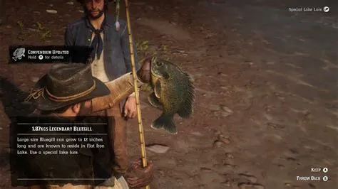 How do you catch kieran legendary fish?