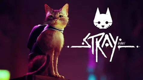 What style of game is stray?