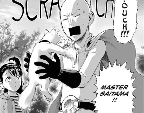 Can a cat hurt saitama?