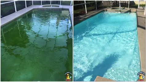 Can too much chlorine make pool green?