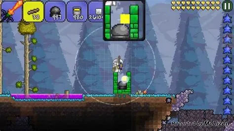 What items are invincibility in terraria?