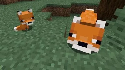 What are foxes good for in minecraft?