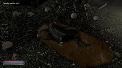 When did serana go to sleep?