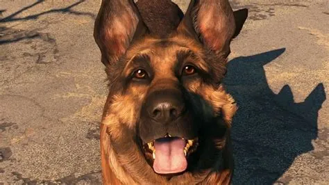 Who is the real dog from fallout 4?