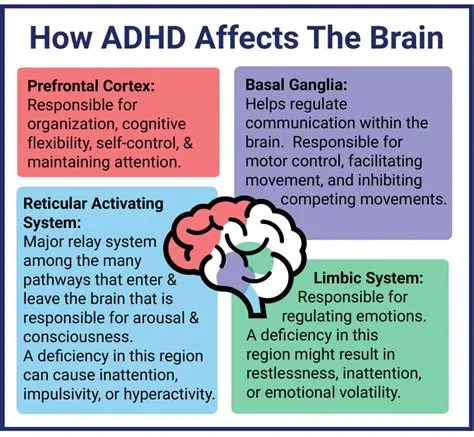 Does adhd affect face?