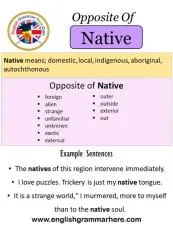 What is the opposite of native speaking?