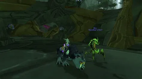 What is the best warlock pet for pve?