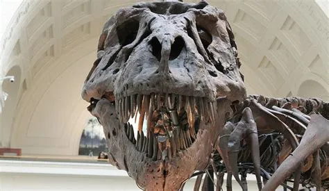 Could t. rex eat bones?