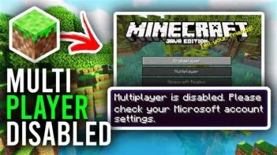 Why is minecraft java multiplayer disabled?