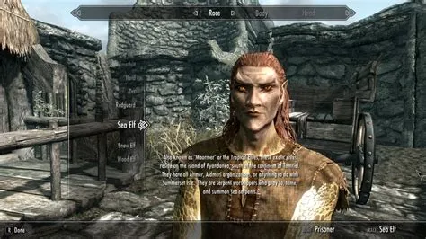 What is the most common race of enemies in skyrim?