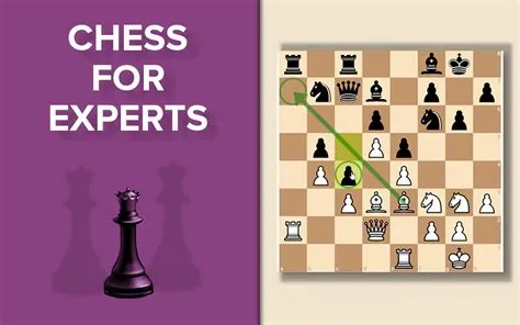 Who is expert in chess?